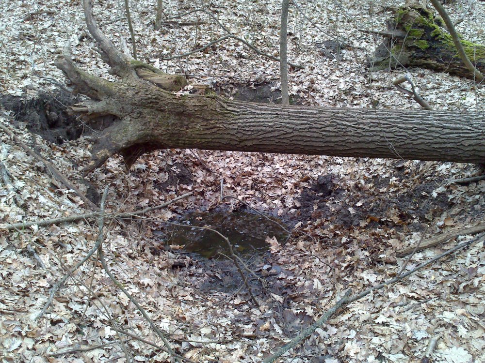 DSC_0262.jpg