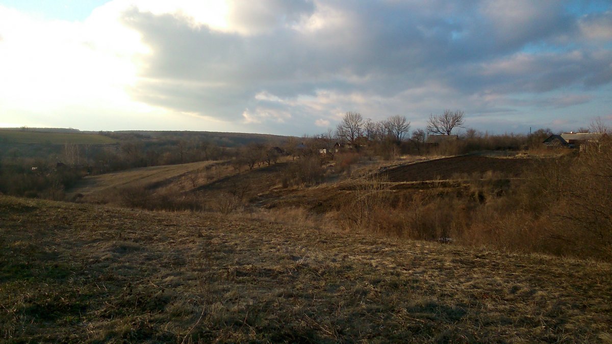DSC_0403.JPG