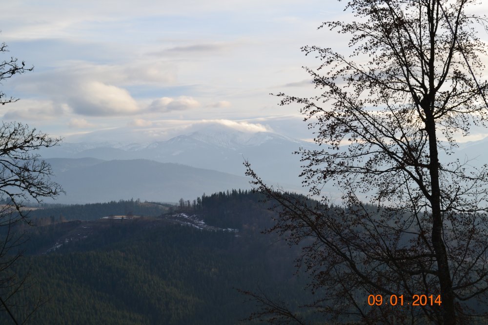 DSC_0536.JPG