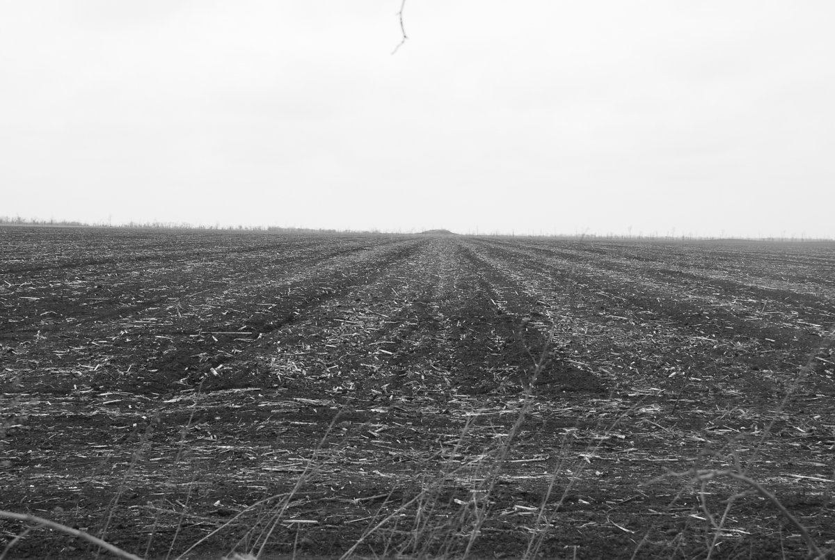 DSC_0623.JPG