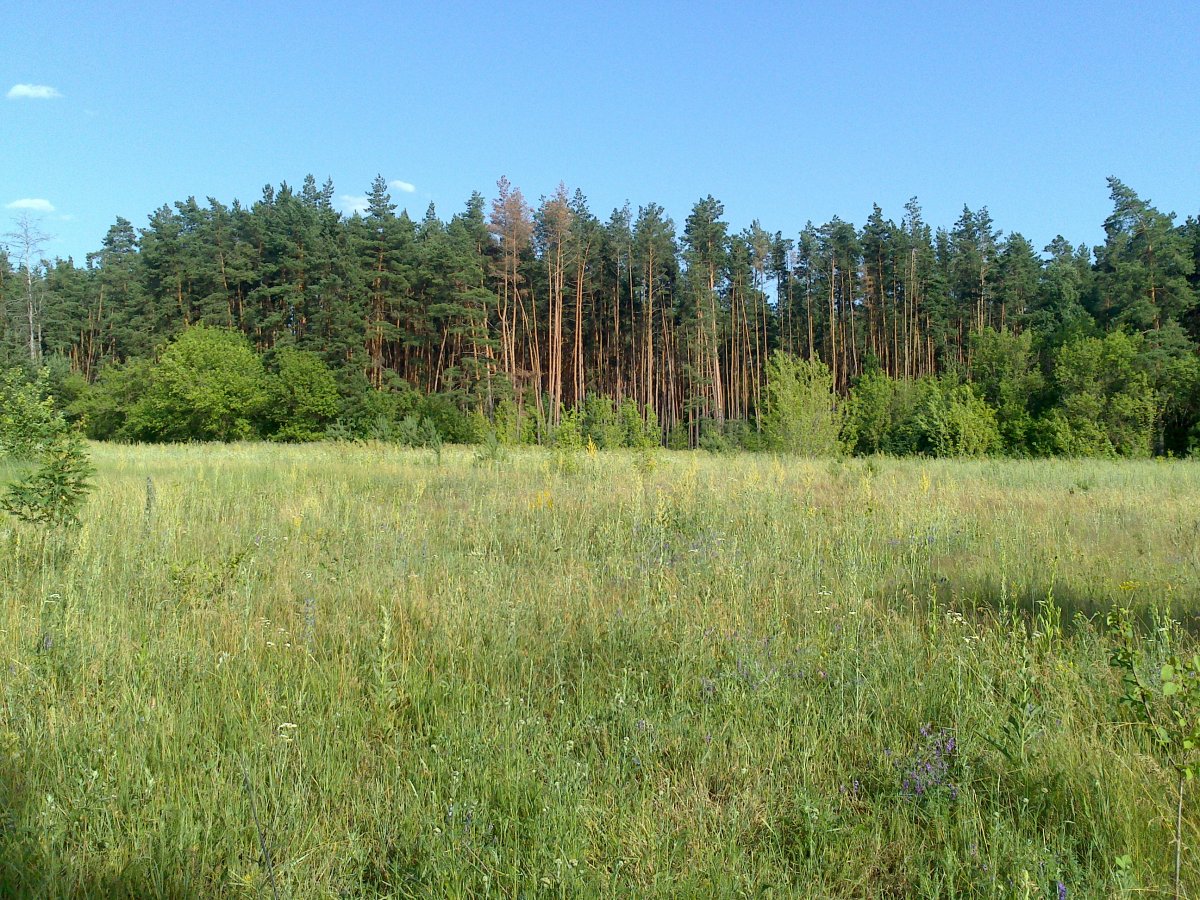 DSC_0675.jpg
