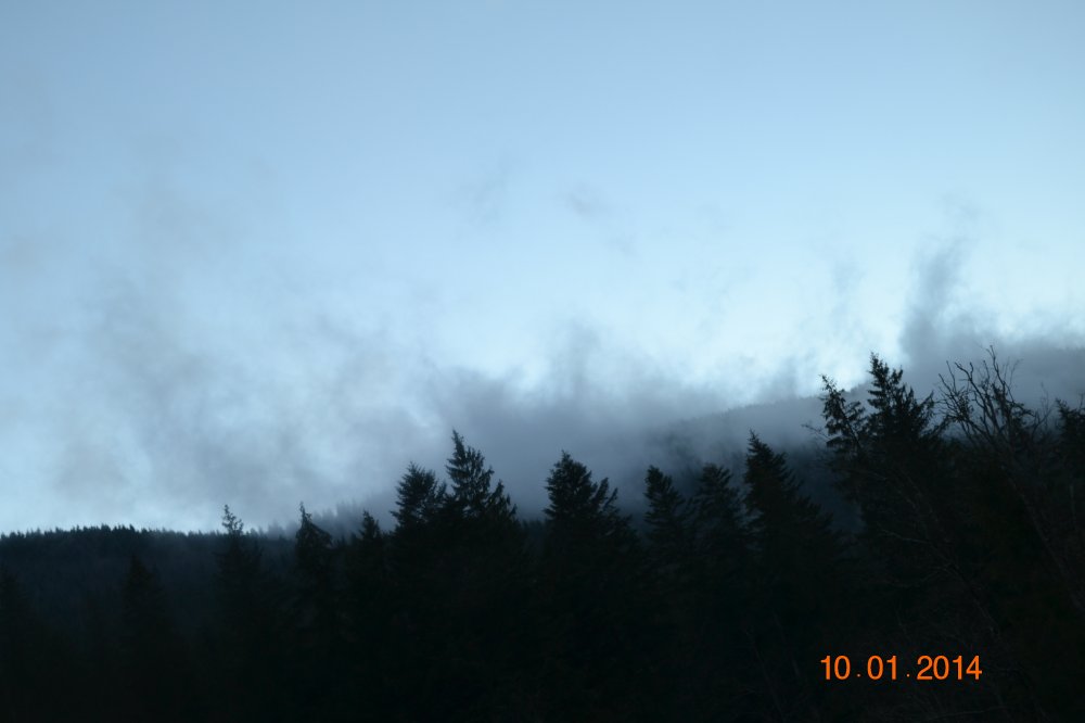DSC_0698.JPG