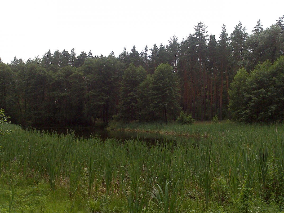 DSC_0717.jpg