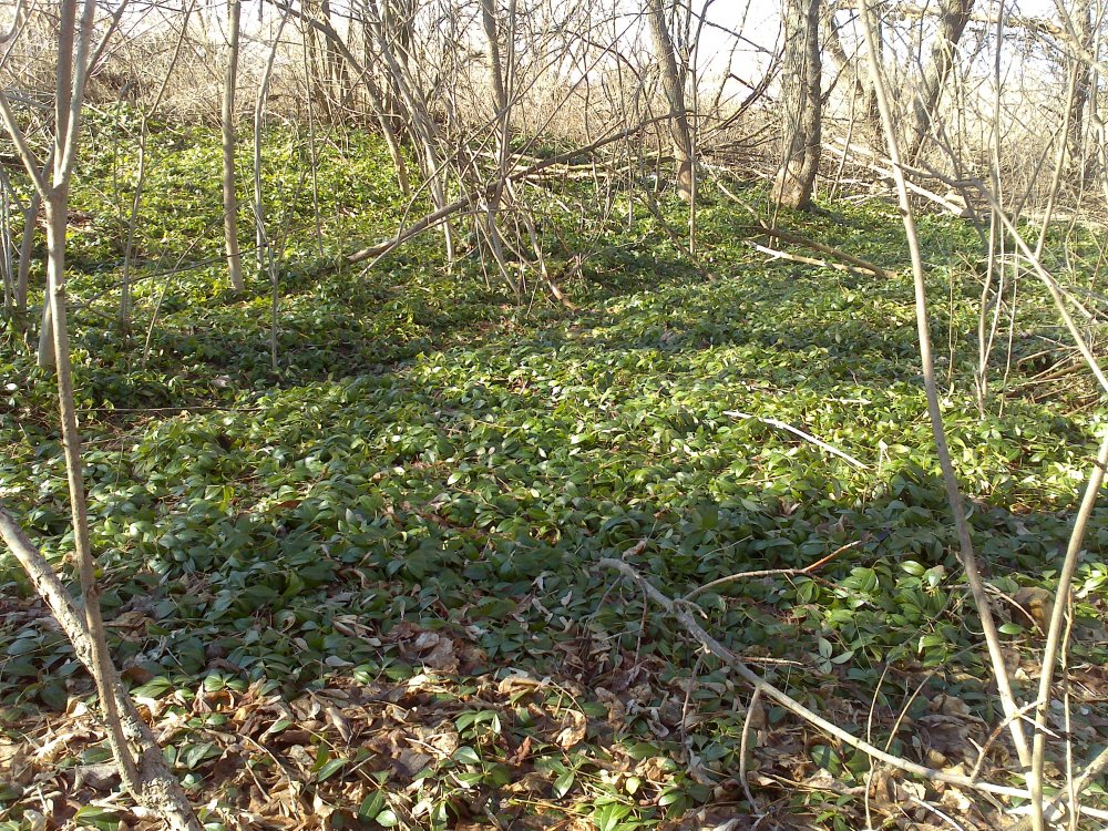 DSC_0722.jpg