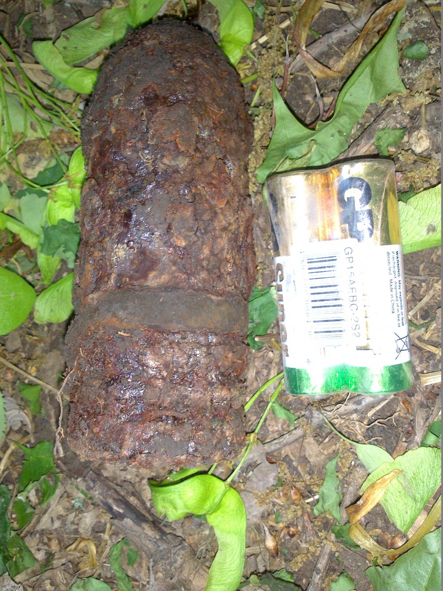 DSC_0831.jpg