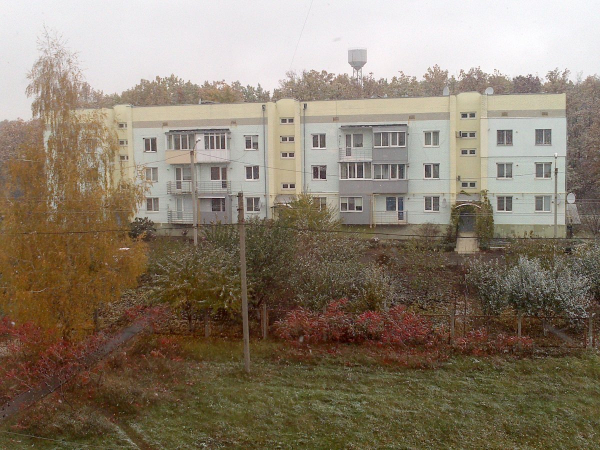 DSC_0893.jpg