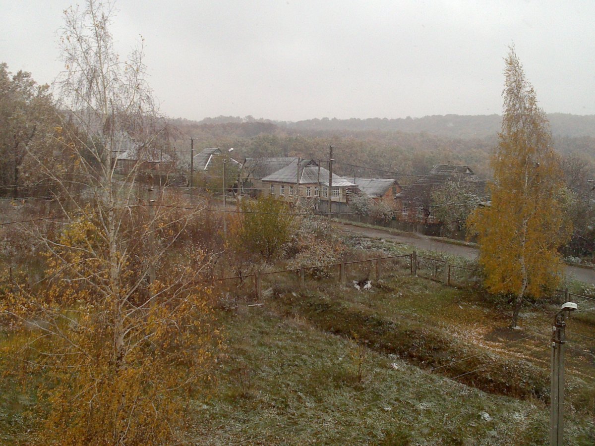 DSC_0894.jpg