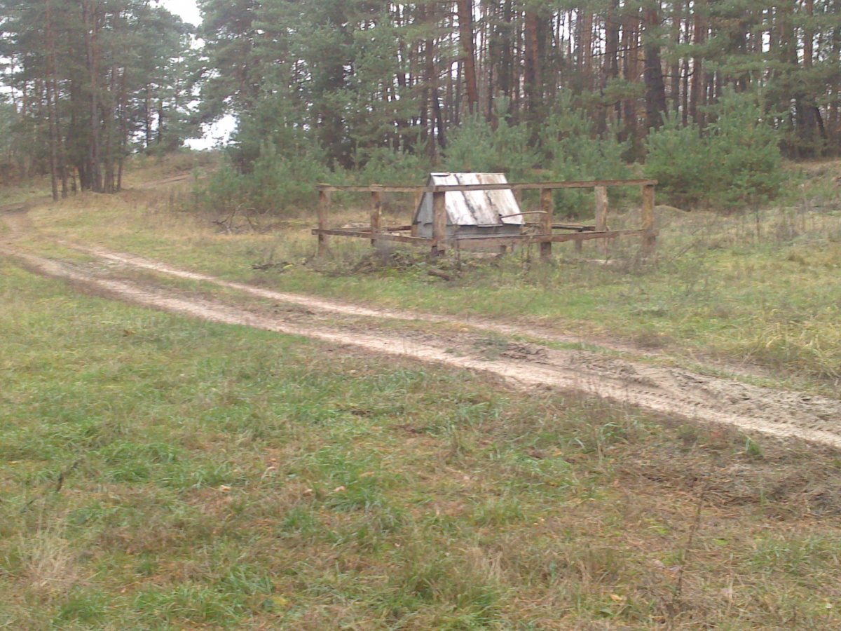 DSC_0924.jpg