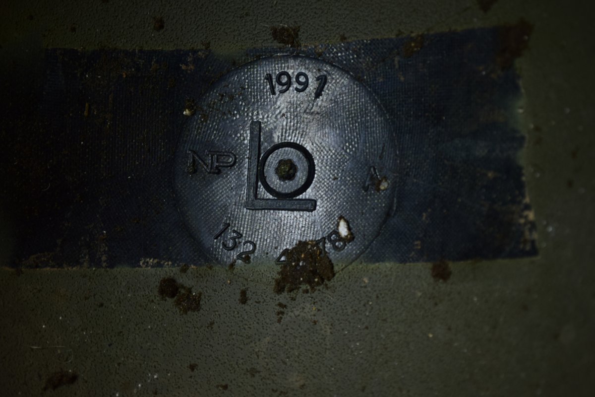 DSC_0981.JPG