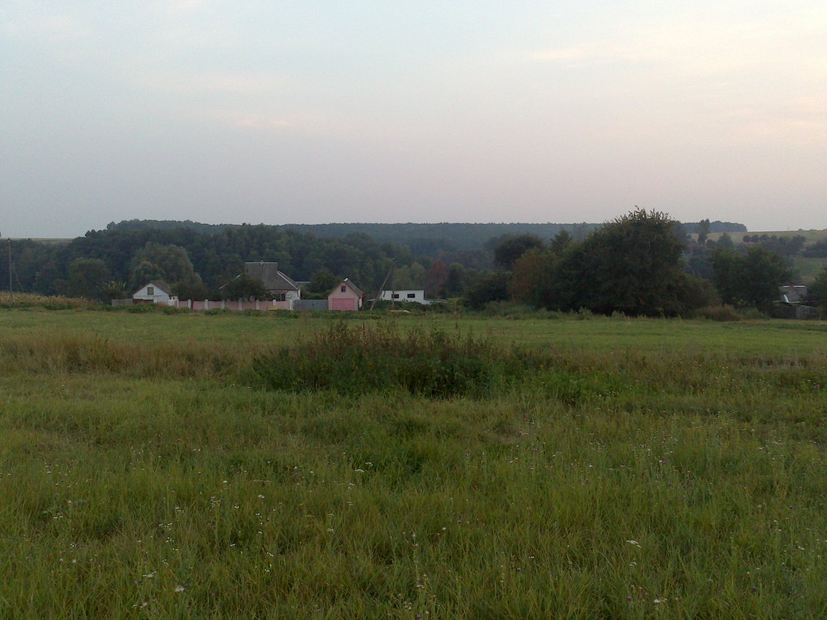 DSC_1002.jpg