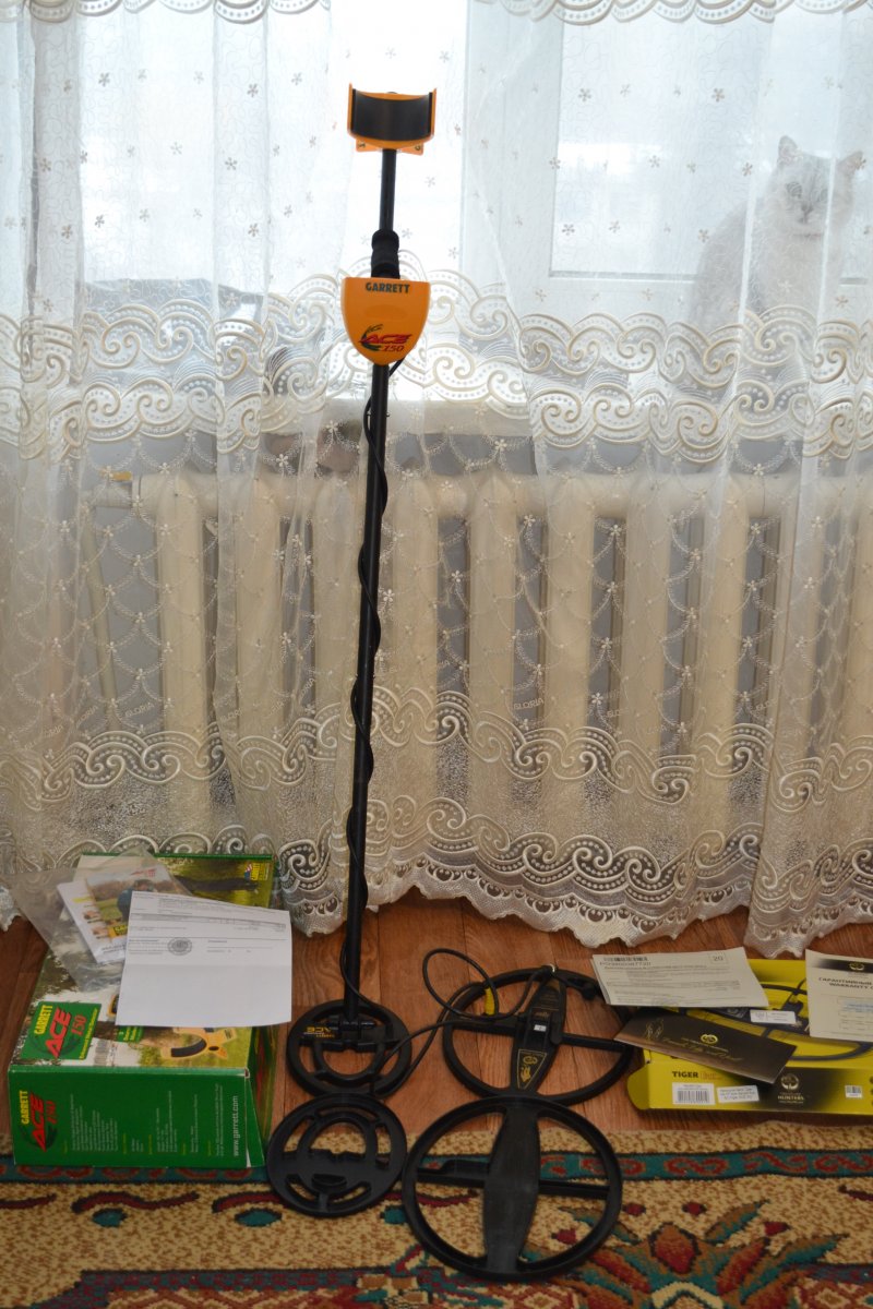 DSC_1117.JPG