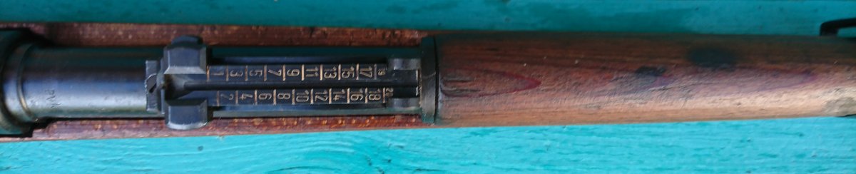 DSC_1294.JPG