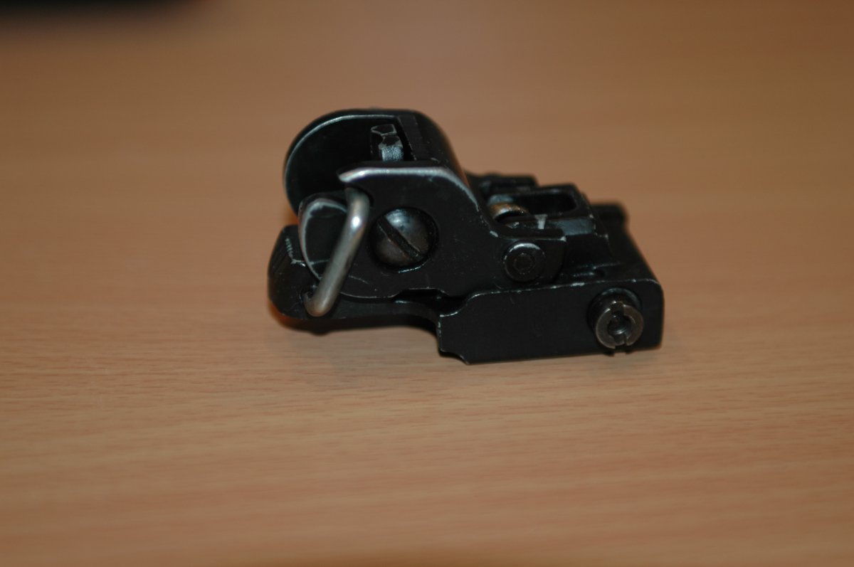 DSC_1981.JPG