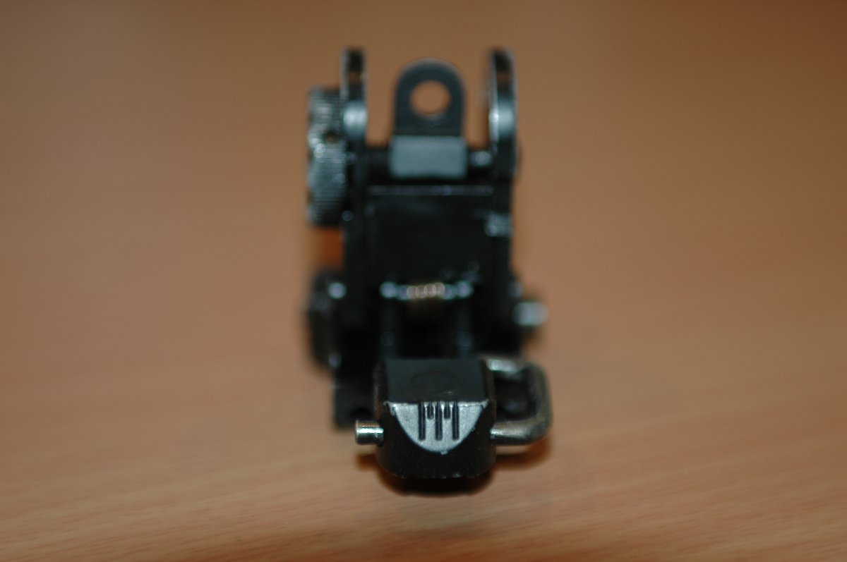 DSC_1984.JPG