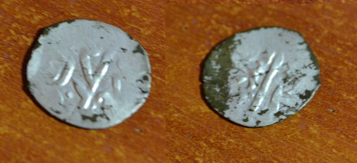 DSC_2770.JPG