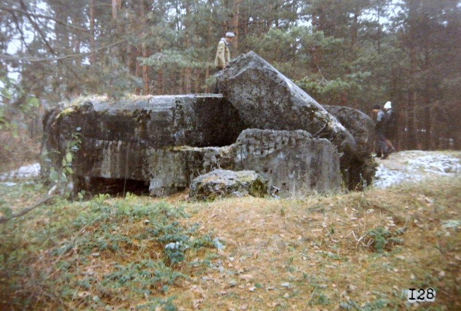 DSC_3676.JPG