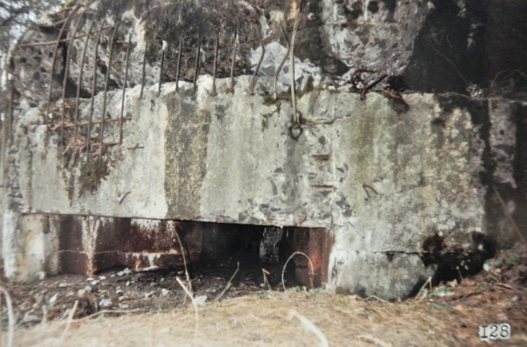 DSC_3684.JPG