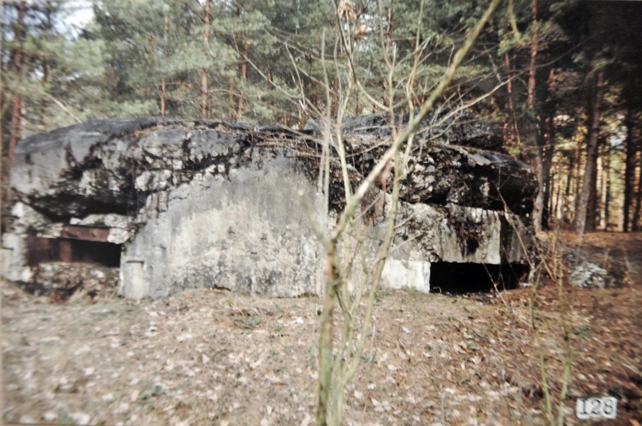 DSC_3685.JPG
