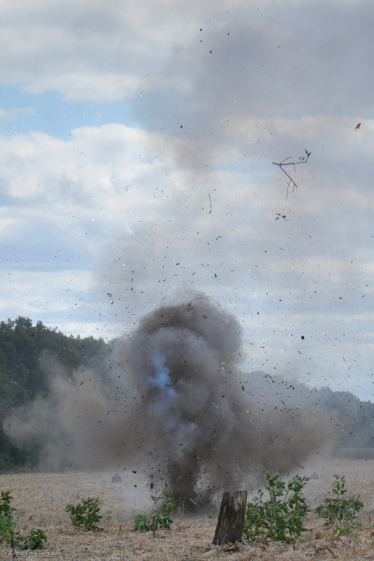 DSC_3745.JPG