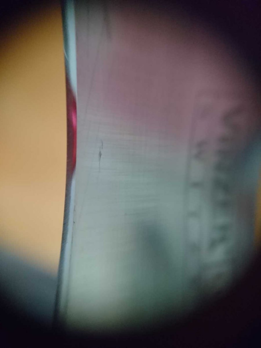 DSC_3809_compress4.jpg