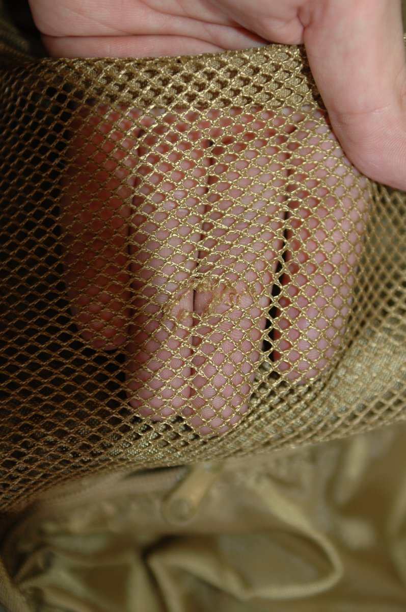 DSC_3875.JPG