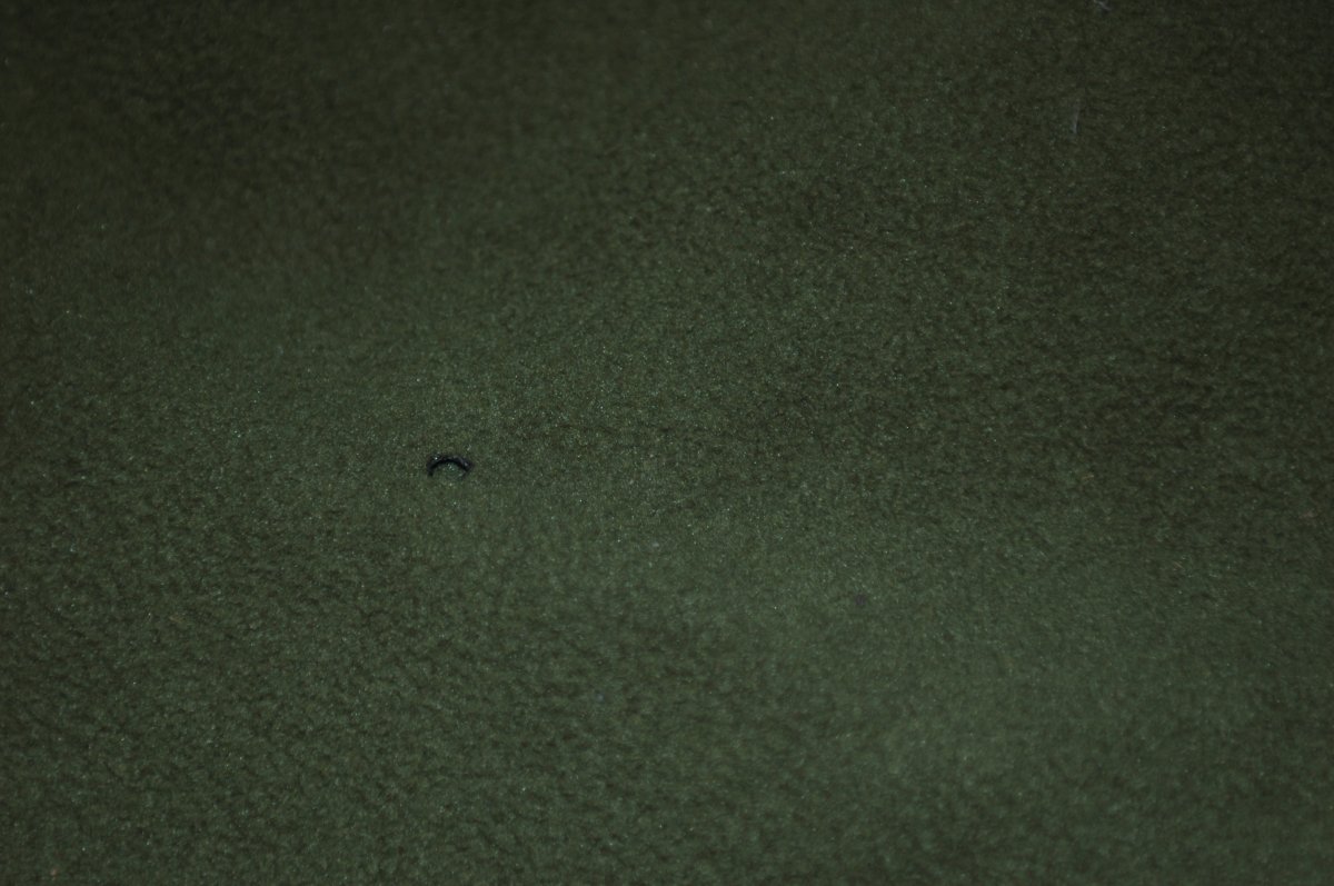 DSC_3976.JPG