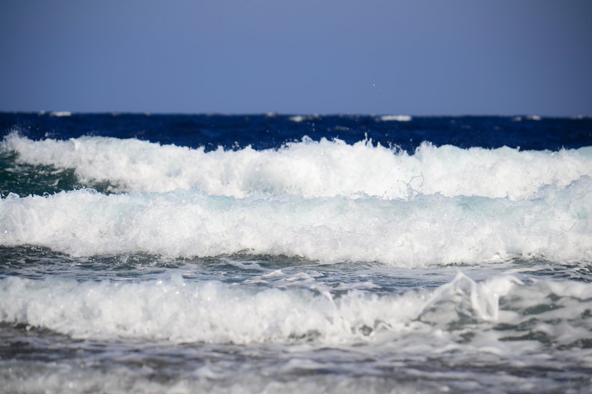 DSC_4438.JPG