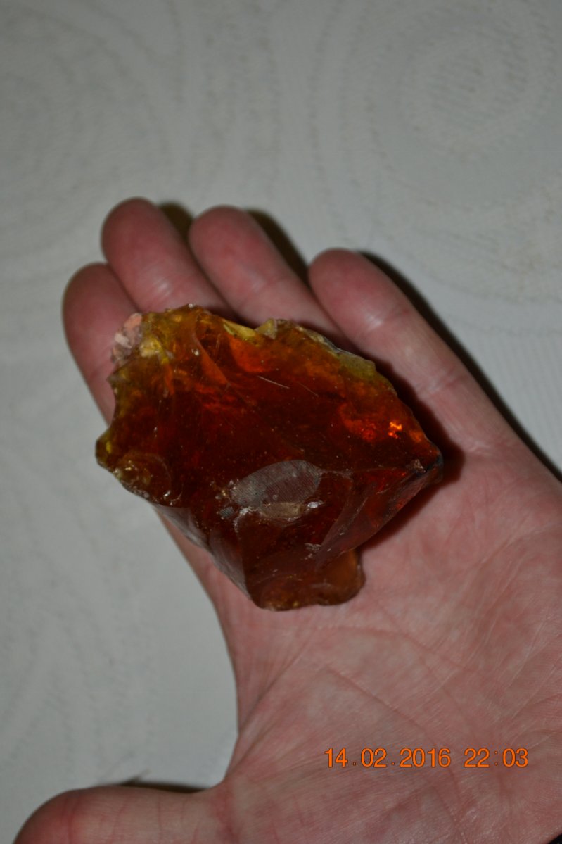 DSC_8144.JPG