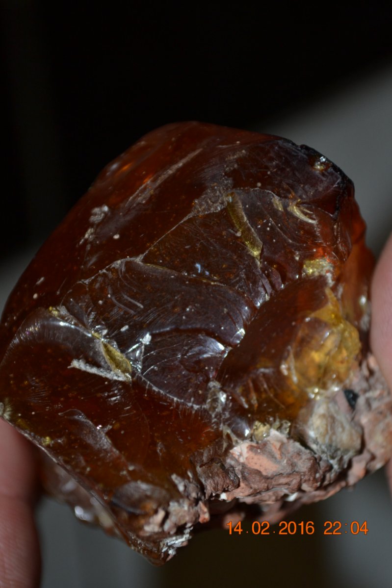 DSC_8145.JPG