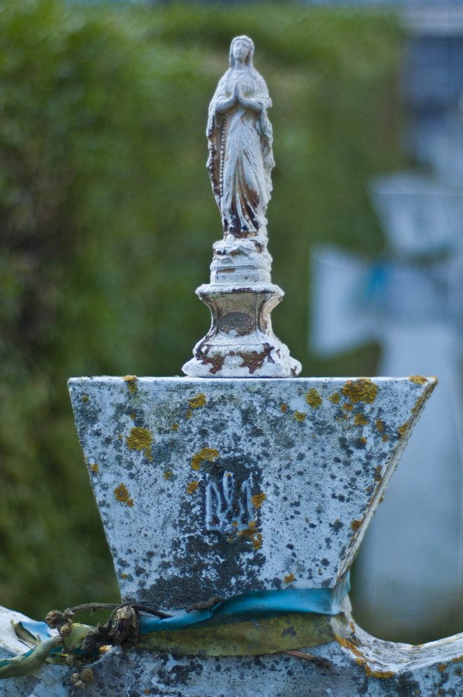 DSC_8682.jpg