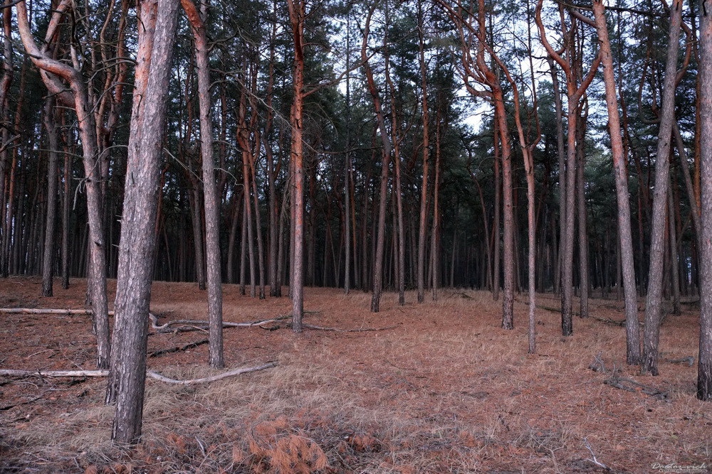 DSCF0257.JPG