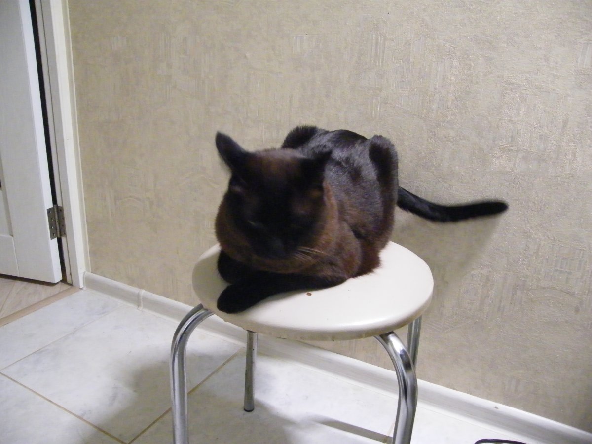 DSCF0383.JPG