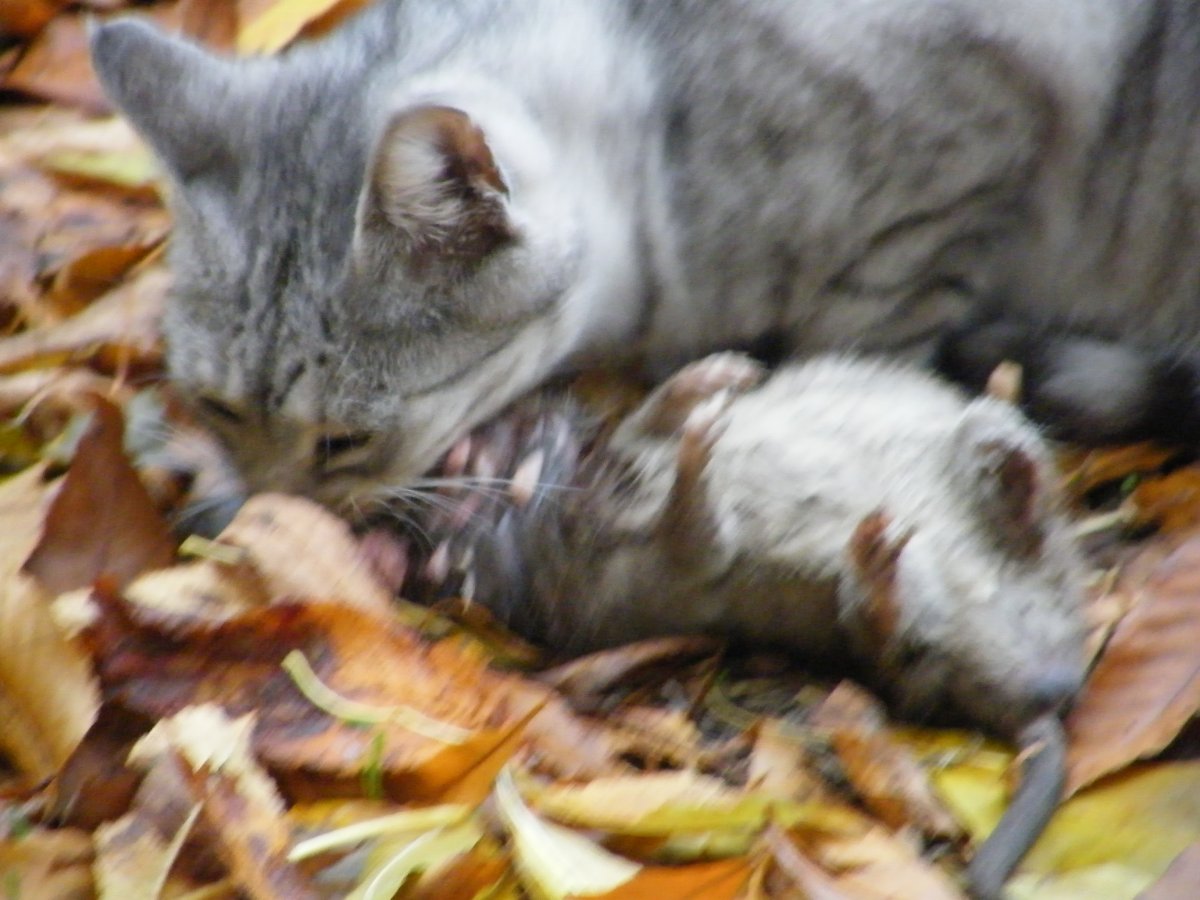 DSCF0385.JPG