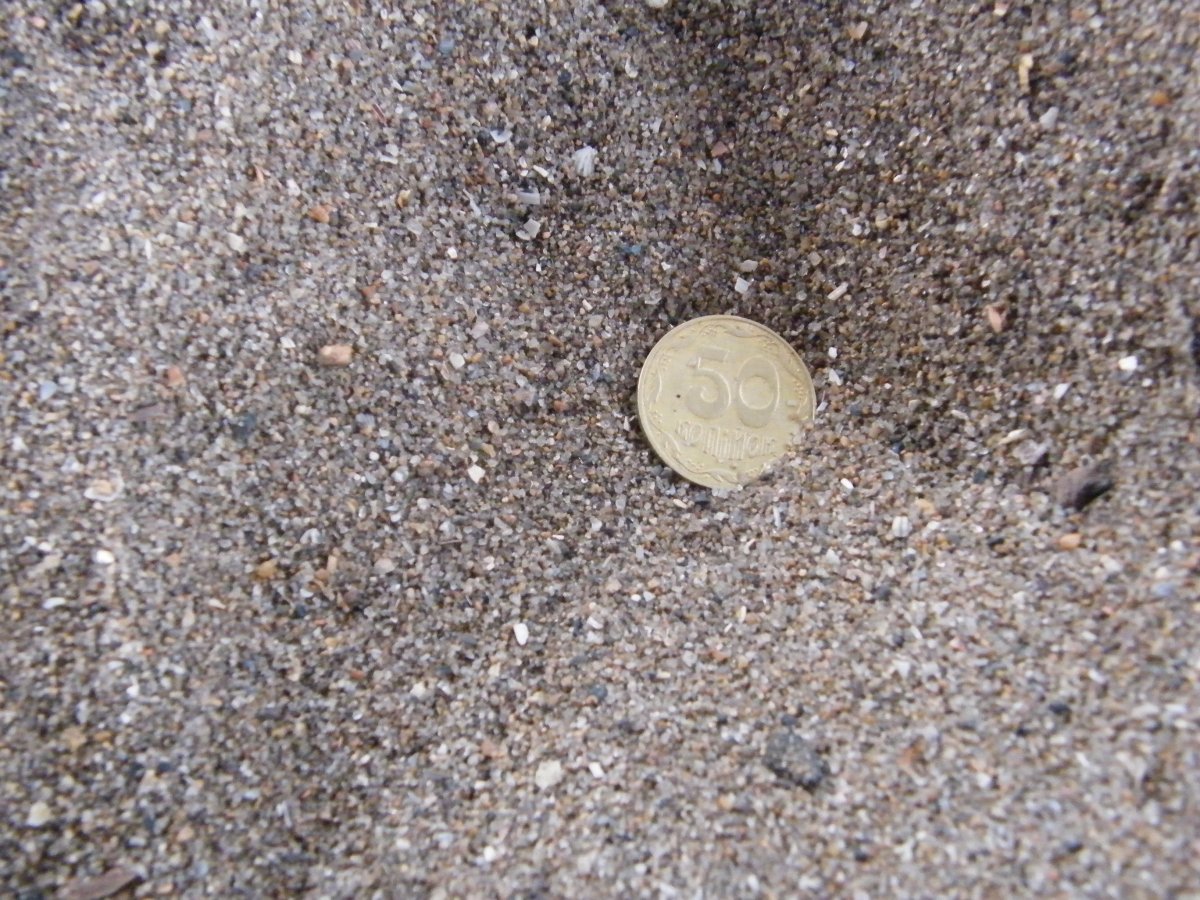 DSCF0390.JPG