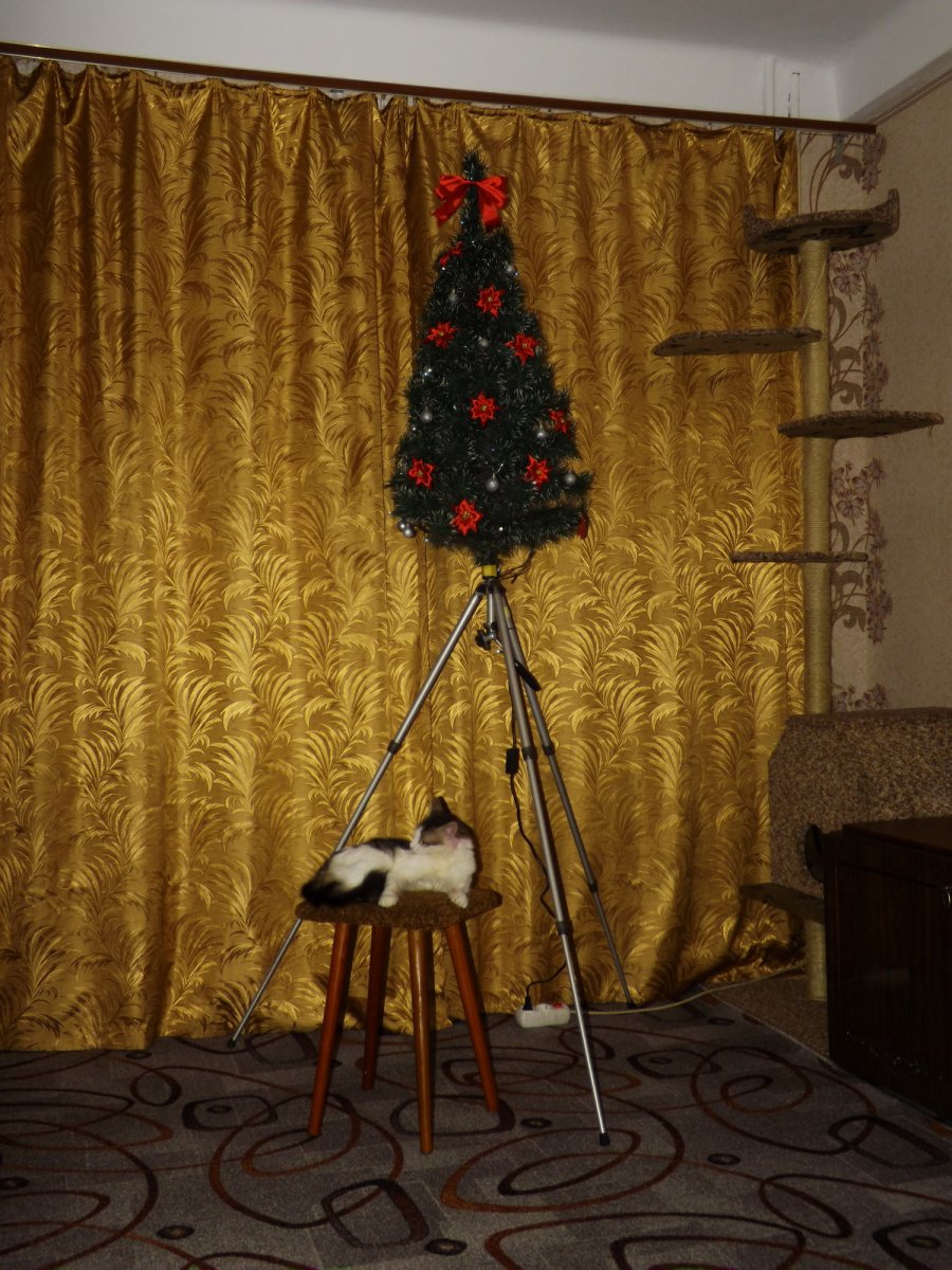 DSCF09911.jpg
