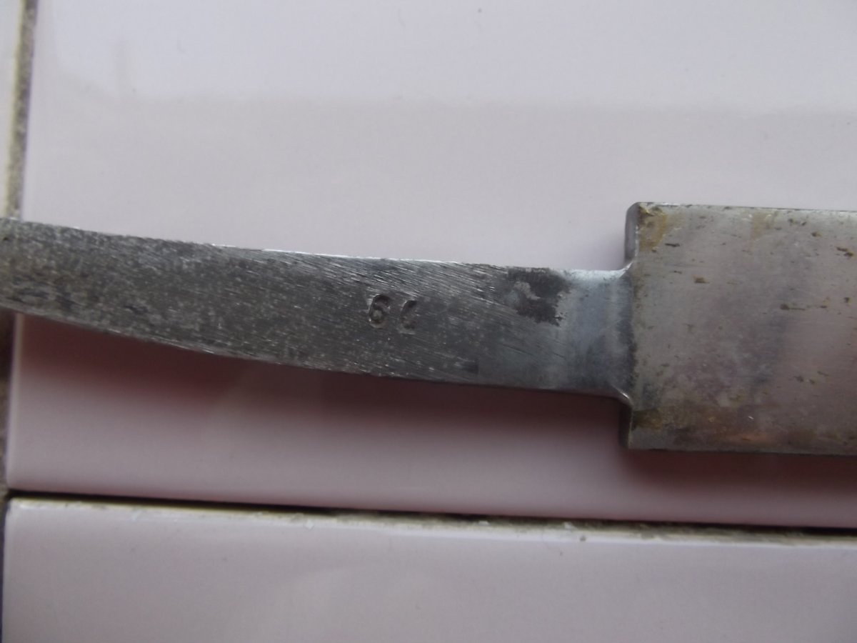 DSCF2313.JPG