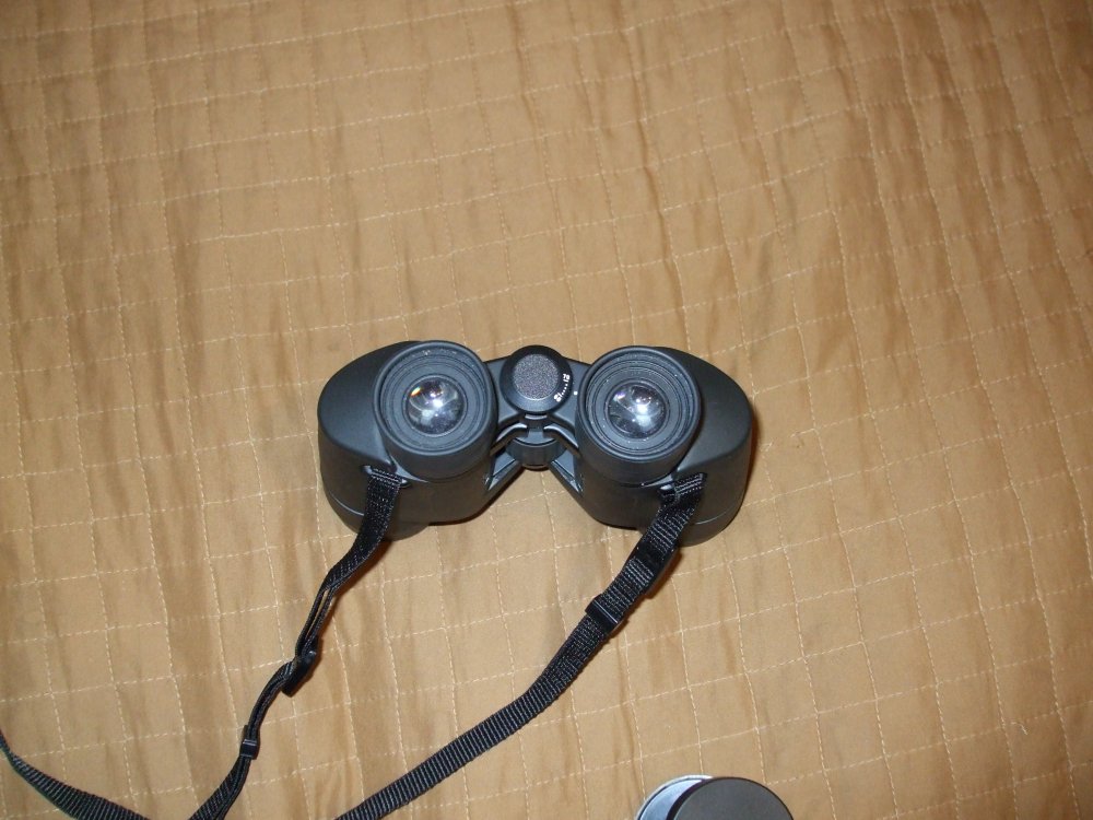 DSCF2398.JPG