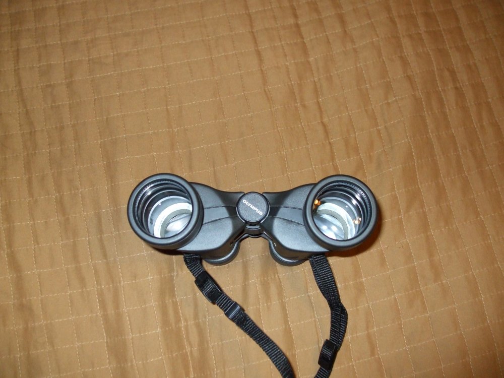 DSCF2399.JPG