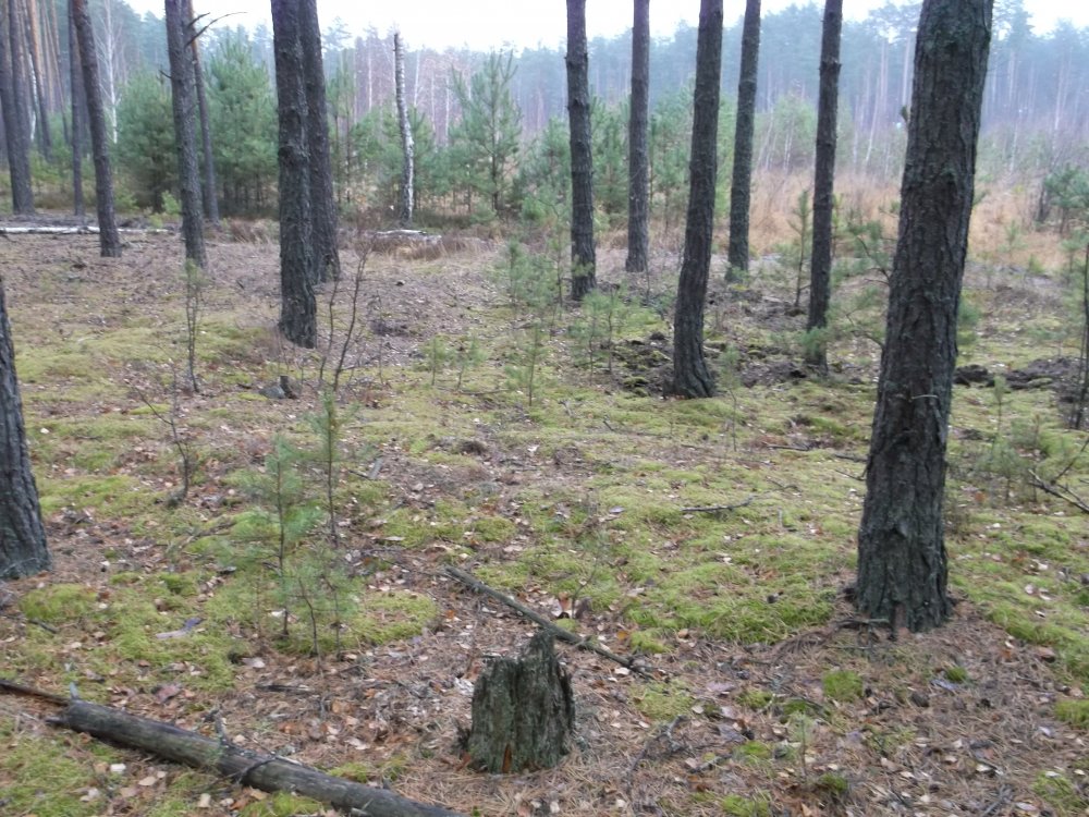 DSCF2685.JPG