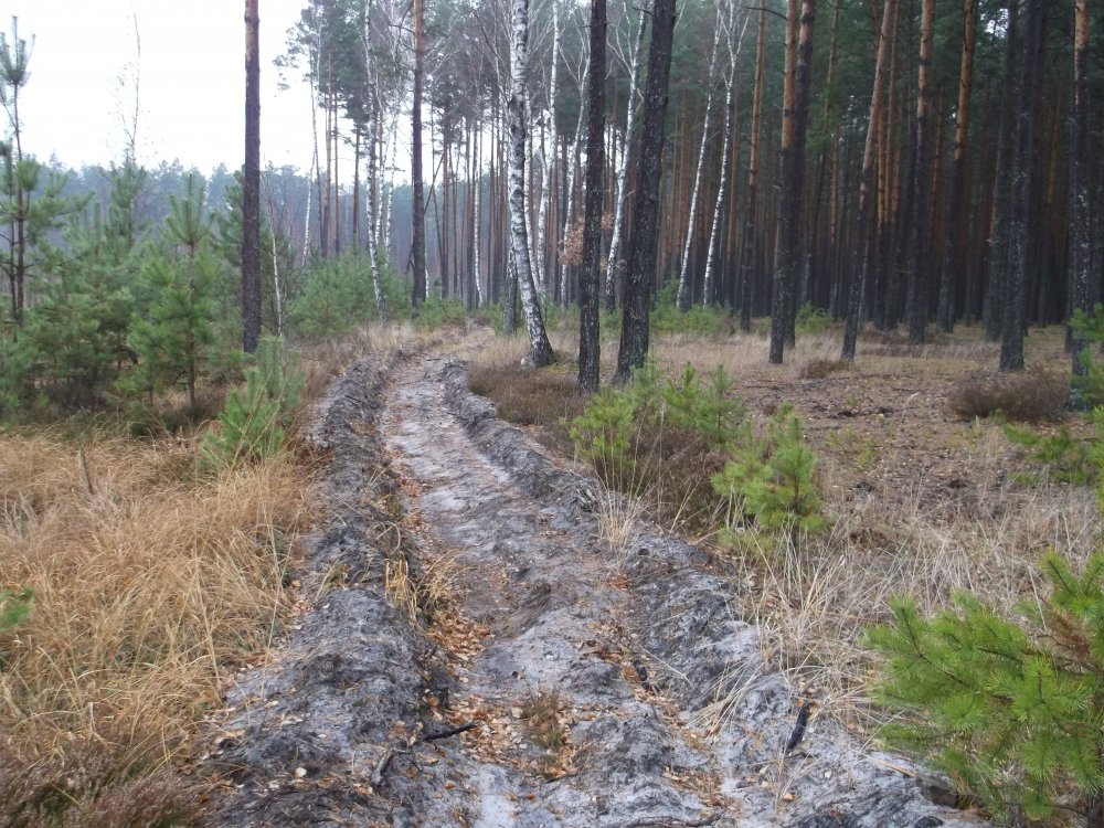 DSCF2690.JPG