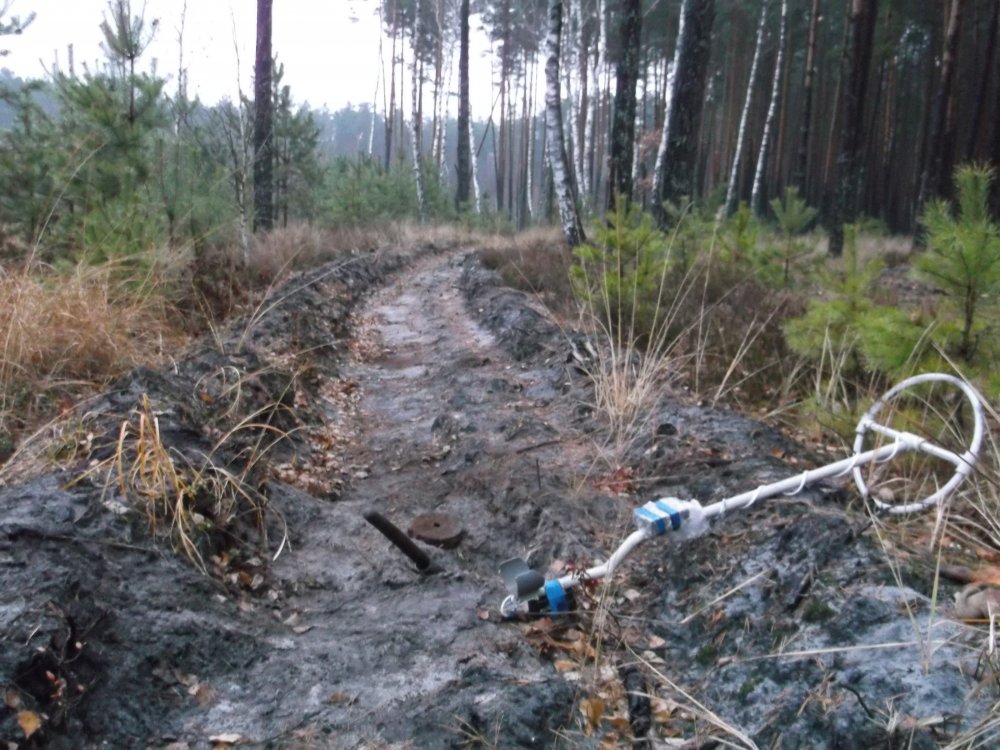 DSCF2704.JPG