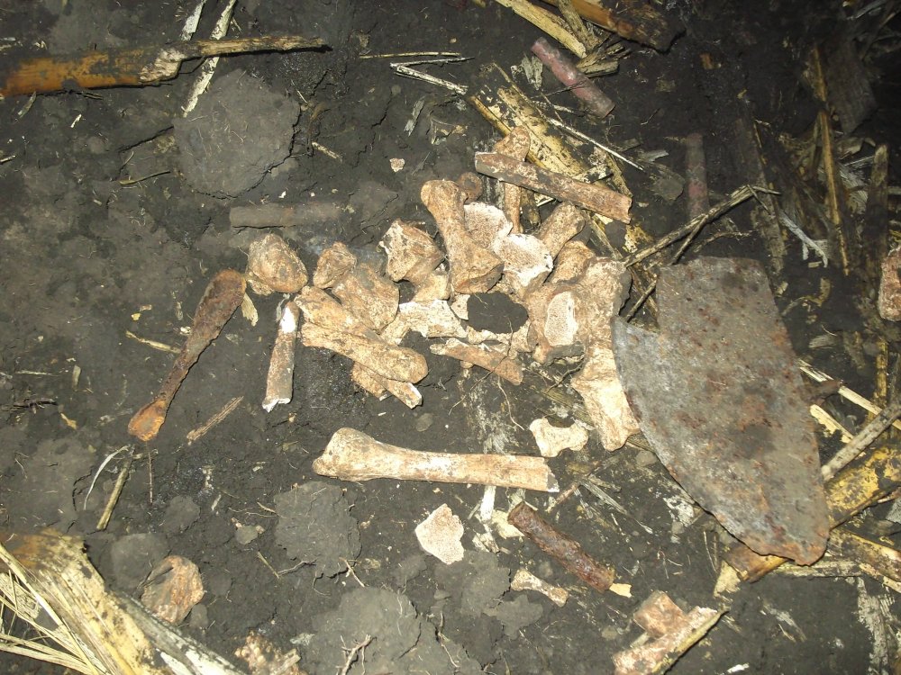 DSCF3247.JPG