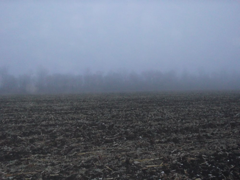 DSCF3251.JPG