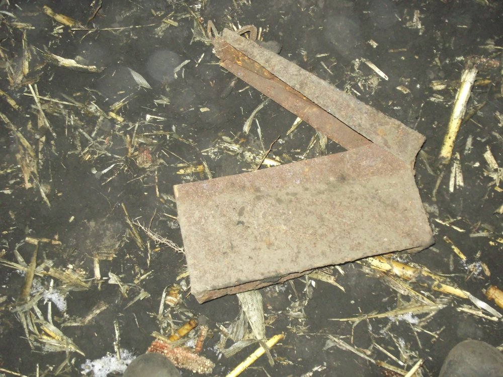 DSCF3252.JPG