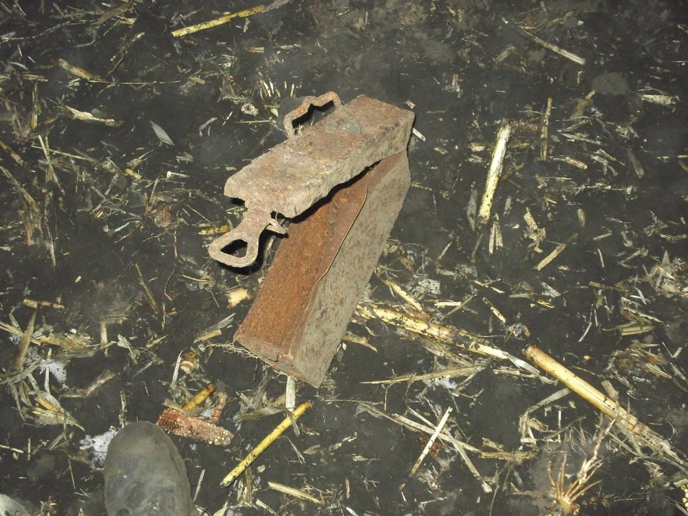 DSCF3253.JPG