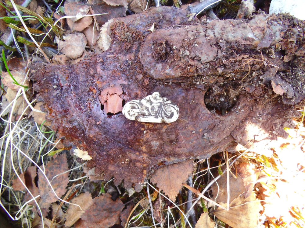 DSCF3337.jpg