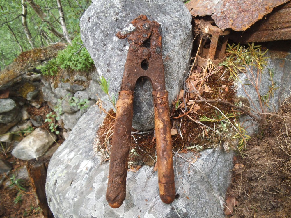 DSCF3521.jpg