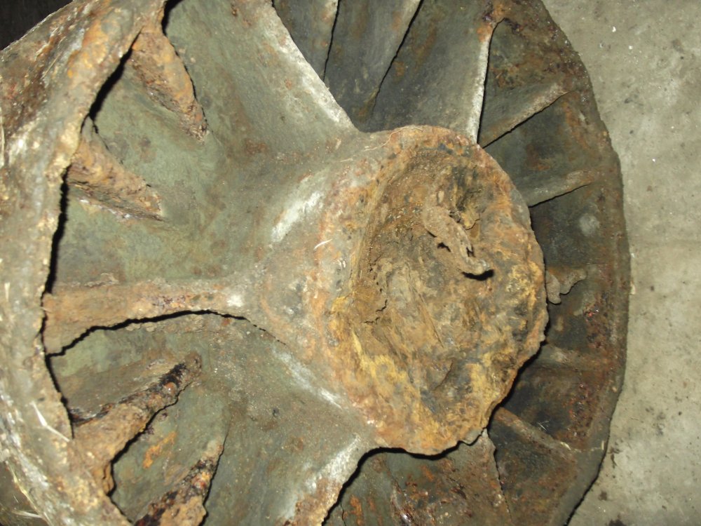 DSCF3535.JPG