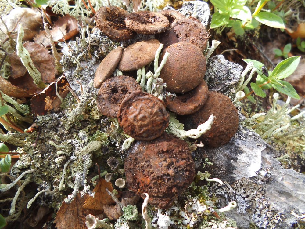 DSCF3622.jpg