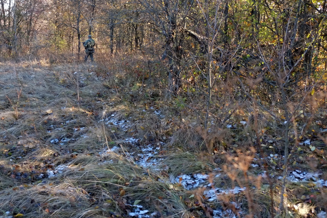 DSCF3732.JPG